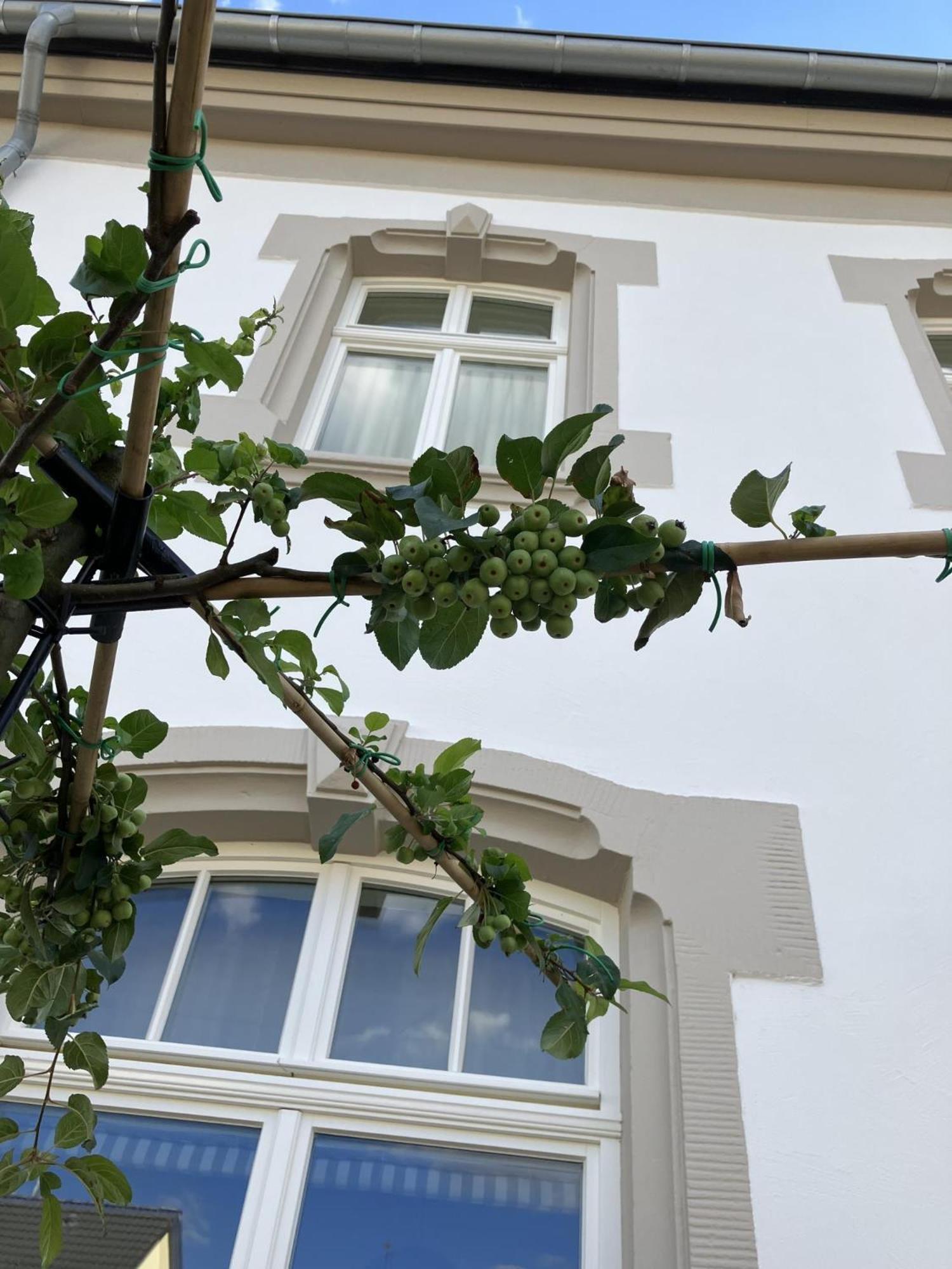 Gaestehaus Cantzheim Kanzem Ngoại thất bức ảnh